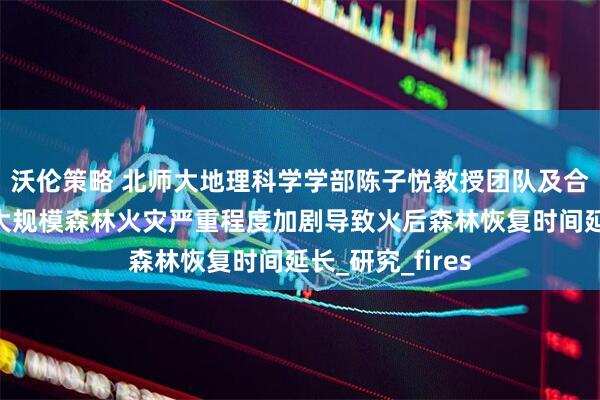 沃伦策略 北师大地理科学学部陈子悦教授团队及合作者揭示全球大规模森林火灾严重程度加剧导致火后森林恢复时间延长_研究_fires