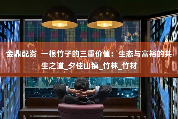 金鼎配资  一根竹子的三重价值：生态与富裕的共生之道_夕佳山镇_竹林_竹材